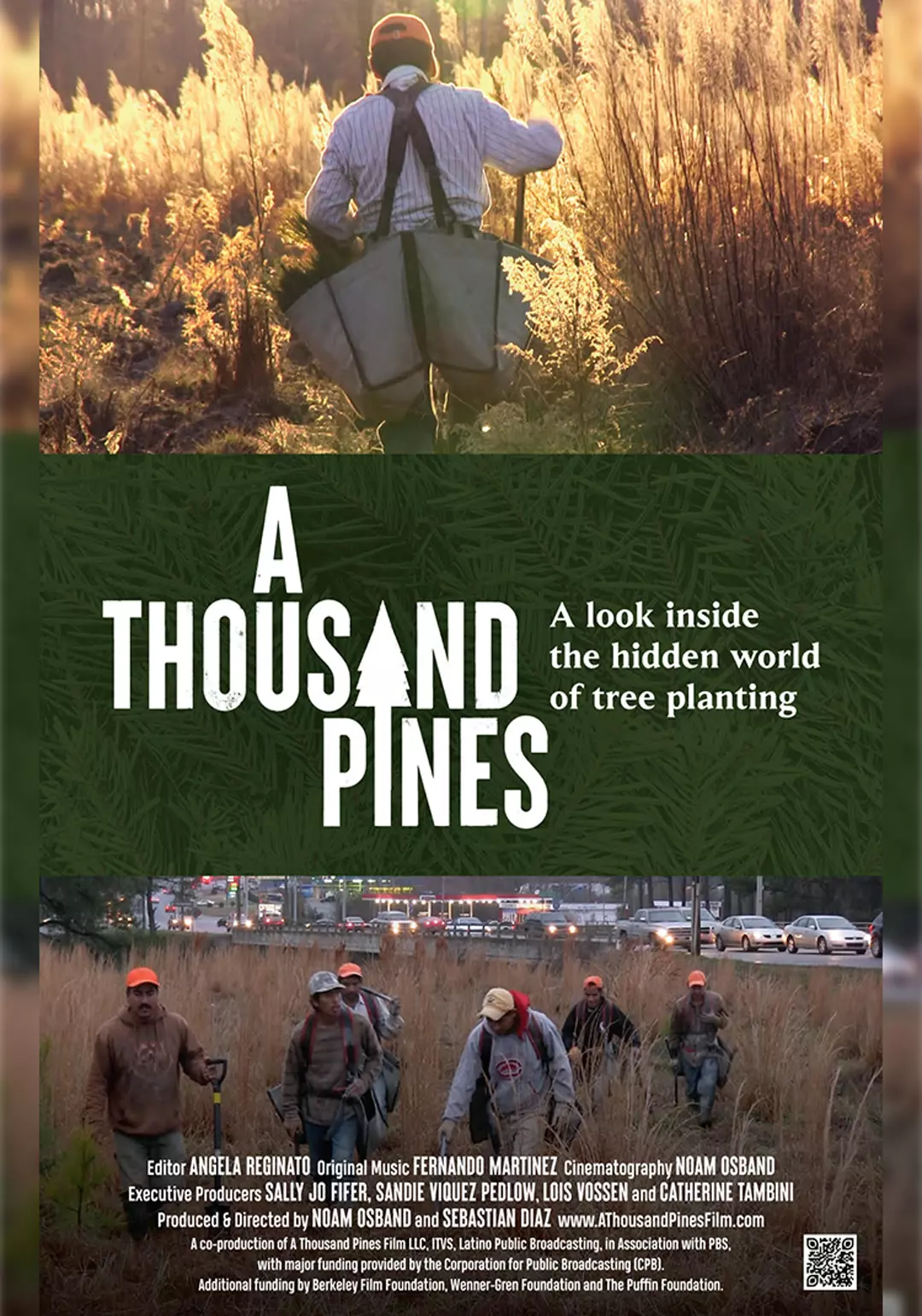 A Thousand Pines, Sebastián Díaz, por película, 18 docsmx