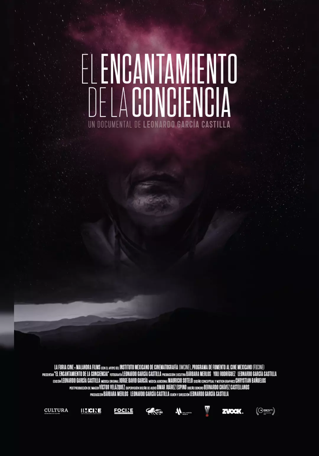 El encantamiento de la conciencia, Leonardo García Castilla, por película, 18 docsmx