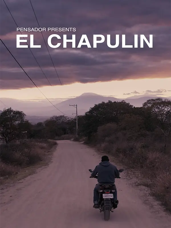 El Chapulín, Programación, Por sede, Goethe-Institut Mexiko, 19 DocsMX, 2024