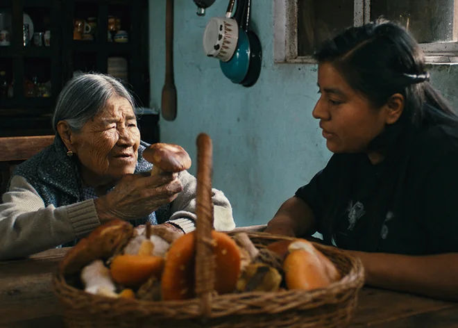 Hijas del bosque, Otilia Portillo Padua, 21 DocsMX, 2026