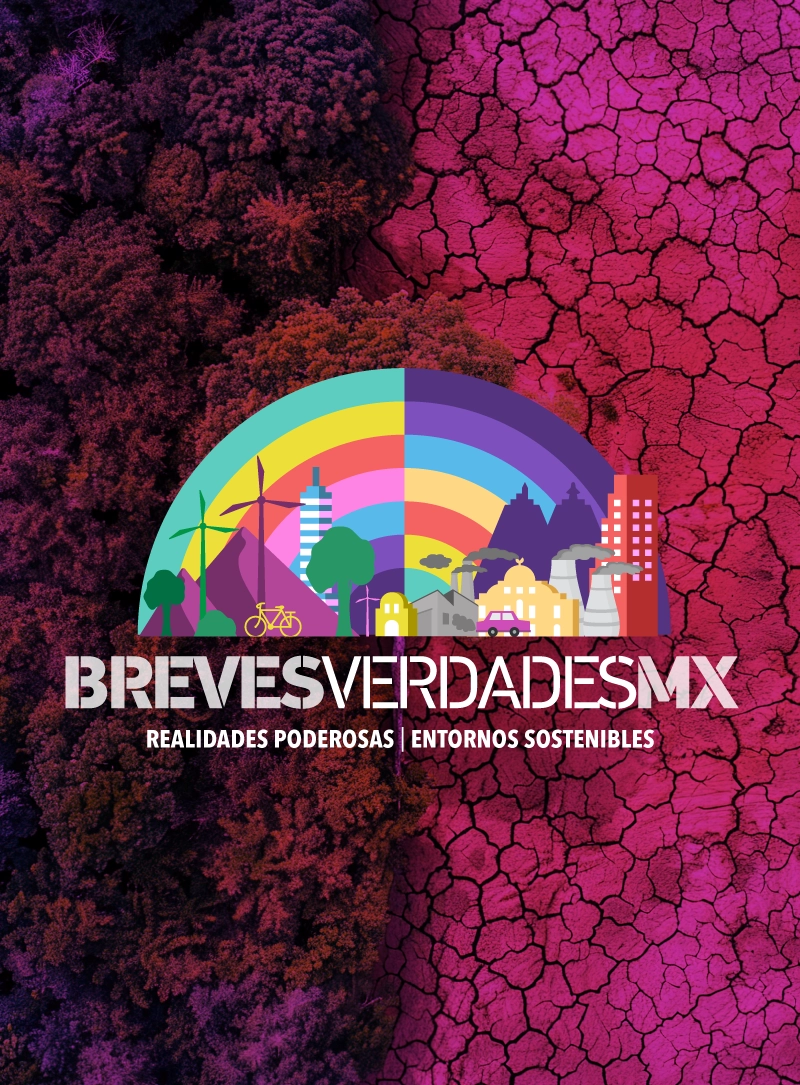 Creación, Breves verdades, DocsMX, 2026