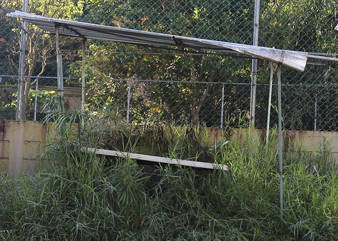 Sin penal no hay gloria, María Lara, cortometrajes, Reto DocsMx20, 2025