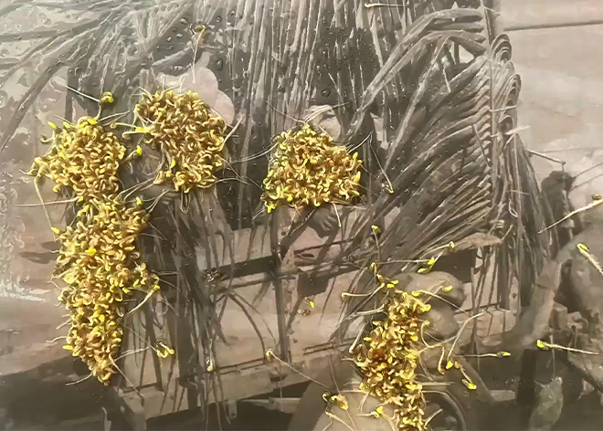 El festín de los gusanos, práctica experimental, Sobre la fiesta y sus políticas del goce, docsmx, 2025