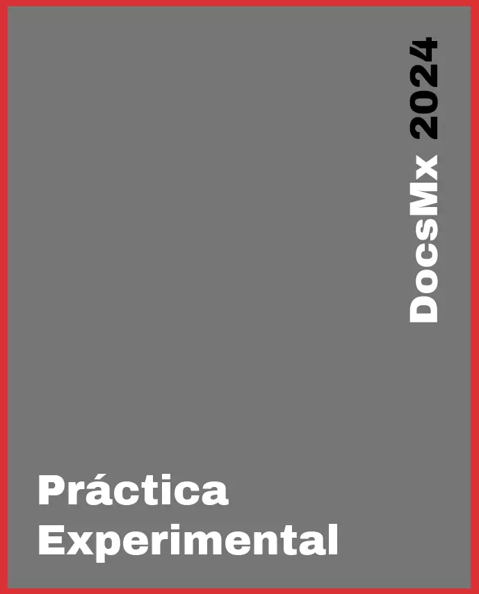 Exhibición, Práctica experimental, DocsMX, 2024