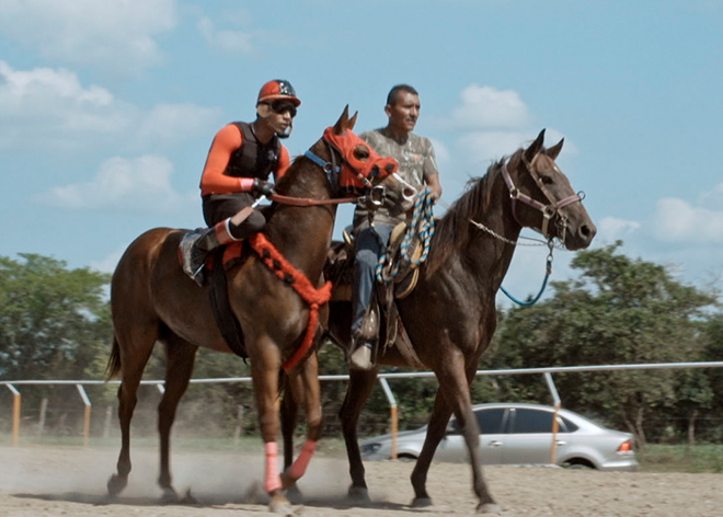 Los tres Polos, Primavera documental, Doctubre presenta, DocsMX, 2026