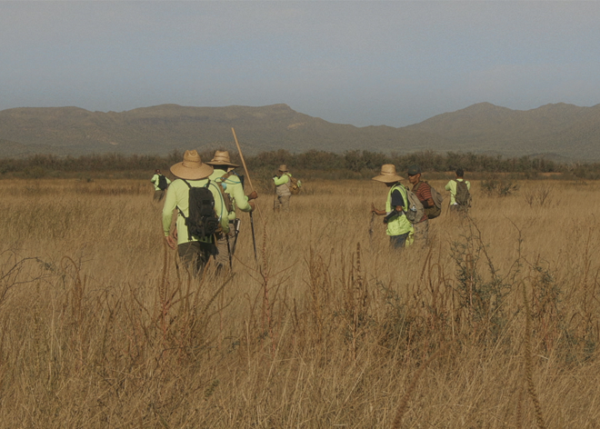 ¿A dónde vamos, coyote?, Jonah Malak, doctalks, 20DocsMx, 2025