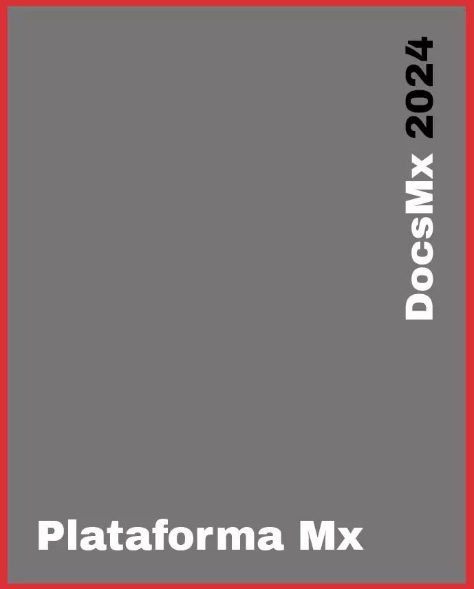 Formación, Plataforma Mx, DocsMX, 2024