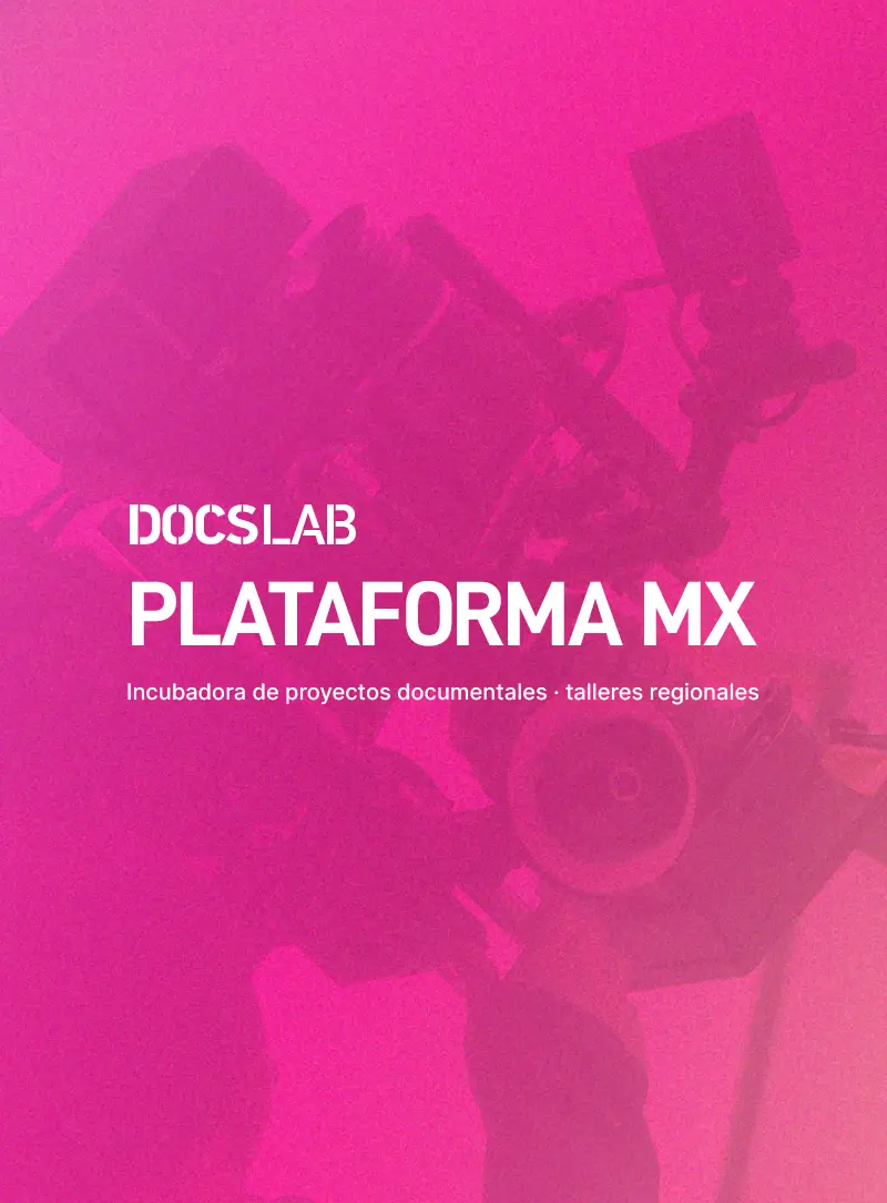 Formación, Plataforma Mx, DocsMX, 2025