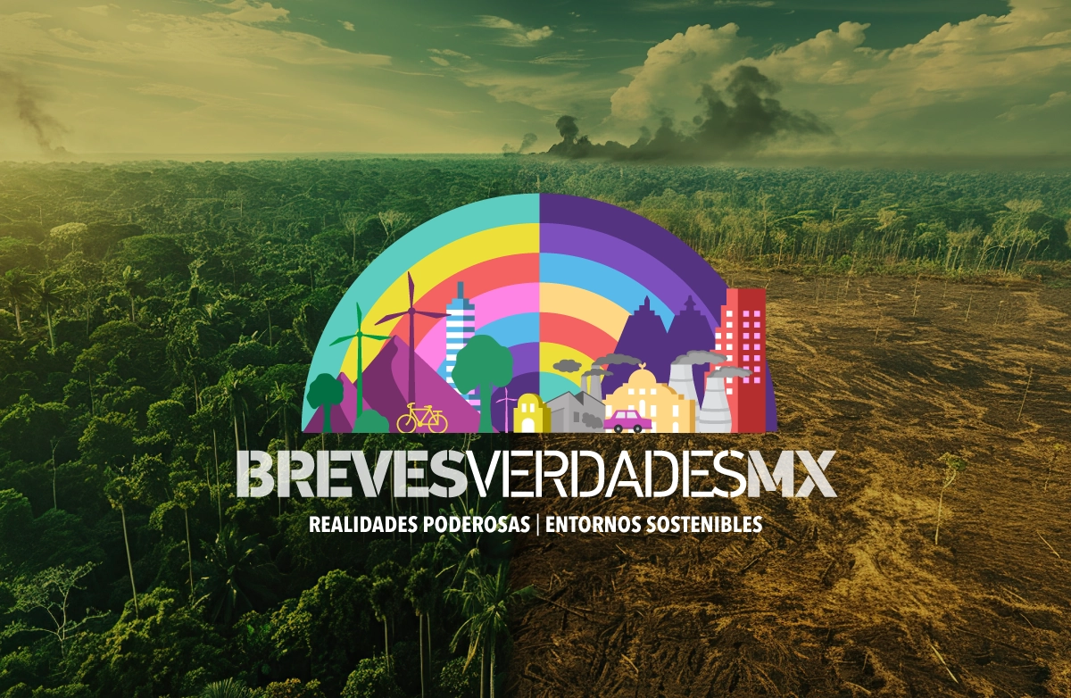 Sucediendo ahora, Breves verdades, docsmx, 2026